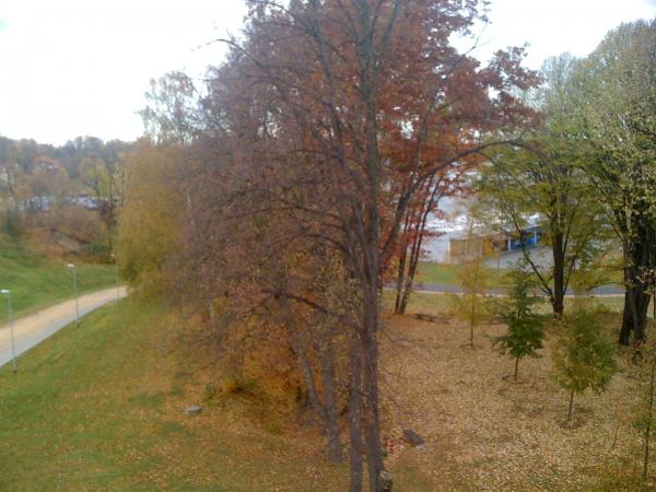 Vermietung 2-Raum Wohnung Görlitz 63,50 m² mit Maisonette ...
